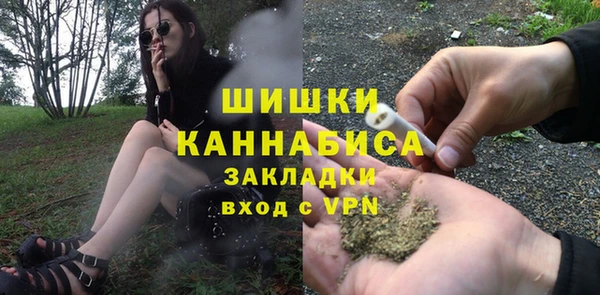 ГАЛЛЮЦИНОГЕННЫЕ ГРИБЫ Бронницы