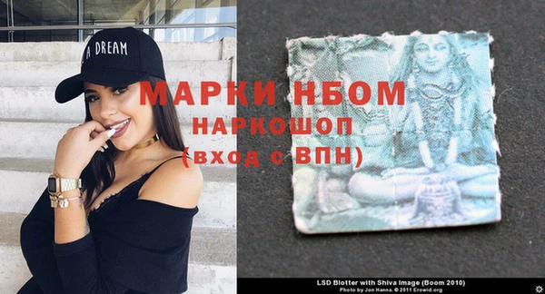 ГАЛЛЮЦИНОГЕННЫЕ ГРИБЫ Бронницы