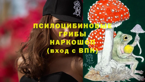 спайс Богородск