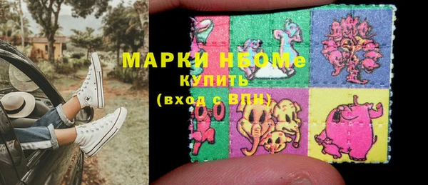 бошки Бородино