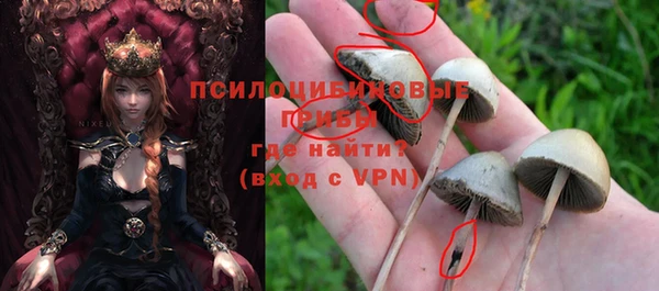 гашишное масло Богородицк