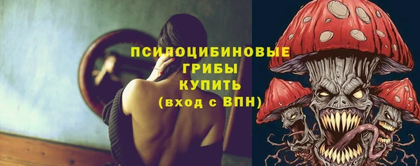 ПСИЛОЦИБИНОВЫЕ ГРИБЫ Рославль