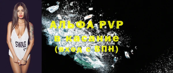 бошки Бородино