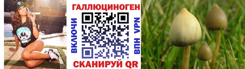Галлюциногенные грибы MAGIC MUSHROOMS гидра ссылки Дмитровск