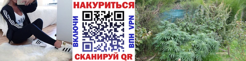 Канабис индика Дмитровск